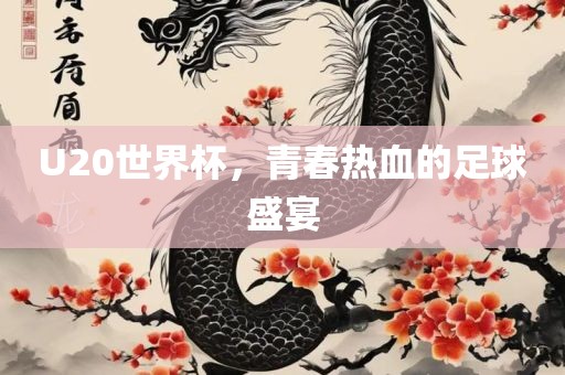 U20世界杯，青春热血的足球盛宴