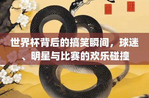 世界杯背后的搞笑瞬间，球迷、明星与比赛的欢乐碰撞眉山市正发家政服务有限公司