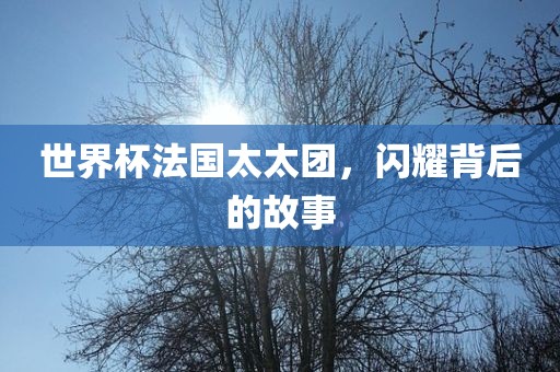 世界杯法国太太团，闪耀背后的故事