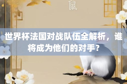 世界杯法国对战队伍全解析，谁将成为他们的对手？