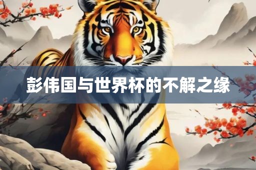 彭伟国与世界杯的不解之缘