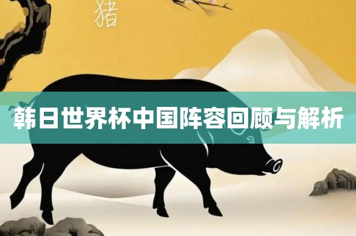 韩日世界杯中国阵容回顾与解析