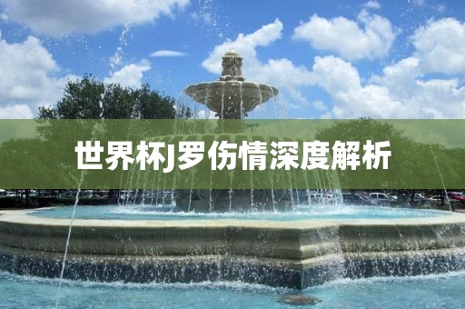 世界杯J罗伤情深度解析