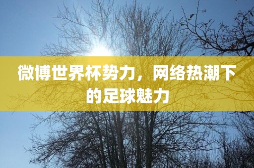 微博世界杯势力，网络热潮下的足球魅力