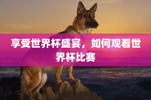享受世界杯盛宴，如何观看世界杯比赛