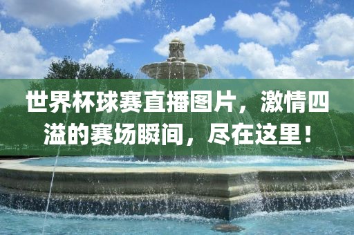 世界杯球赛直播图片，激情四溢的赛场瞬间，尽在这里！
