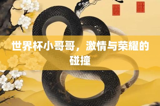 世界杯小哥哥，激情与荣耀的碰撞