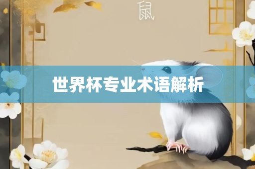 世界杯专业术语解析