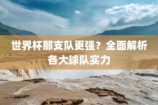 世界杯那支队更强？全面解析各大球队实力眉山市正发家政服务有限公司