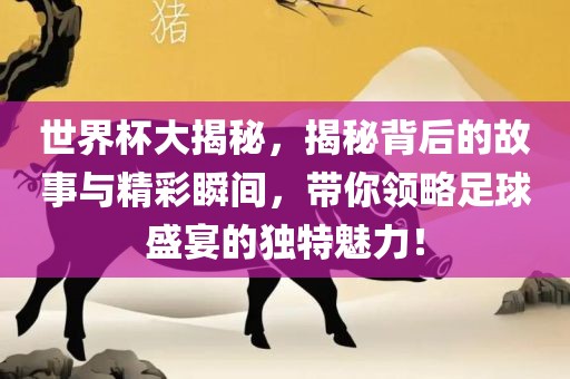 世界杯大揭秘，揭秘背后的故事与精彩瞬间，带你领略足球盛宴的独特魅力！