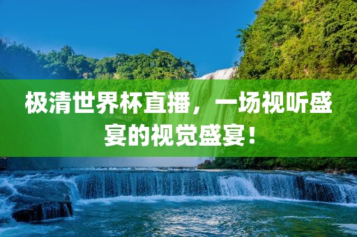 极清世界杯直播，一场视听盛宴的视觉盛宴！