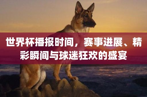 世界杯播报时间，赛事进展、精彩瞬间与球迷狂欢的盛宴