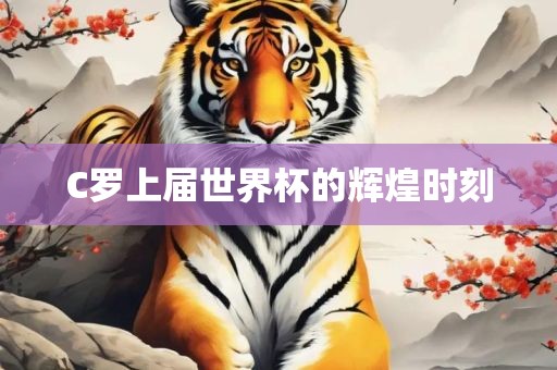 C罗上届世界杯的辉煌时刻