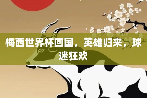 梅西世界杯回国，英雄归来，球迷狂欢