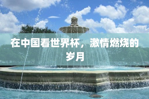在中国看世界杯，激情燃烧的岁月