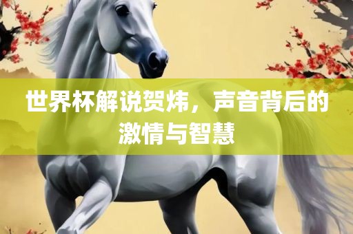 世界杯解说贺炜，声音背后的激情与智慧