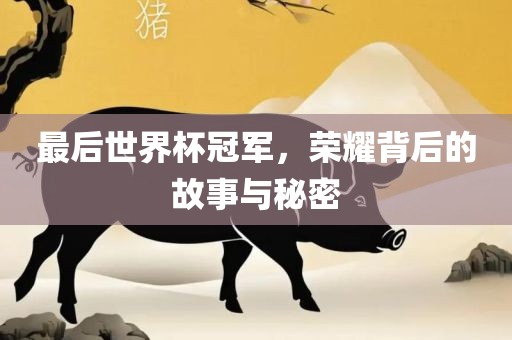 最后世界杯冠军，荣耀背后的故事与秘密