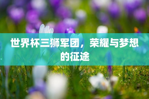 世界杯三狮军团，荣耀与梦想的征途