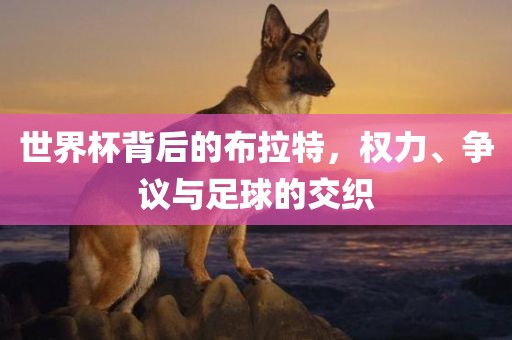 世界杯背后的布拉特，权力、争议与足球的交织