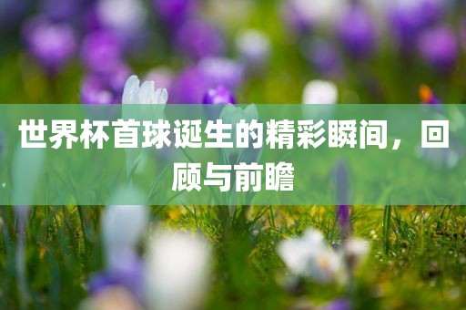 世界杯首球诞生的精彩瞬间，回顾与前瞻