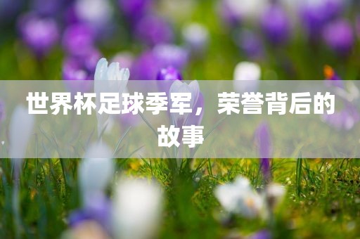 世界杯足球季军，荣誉背后的故事