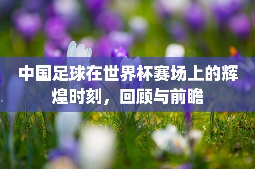 中国足球在世界杯赛场上的辉煌时刻，回顾与前瞻