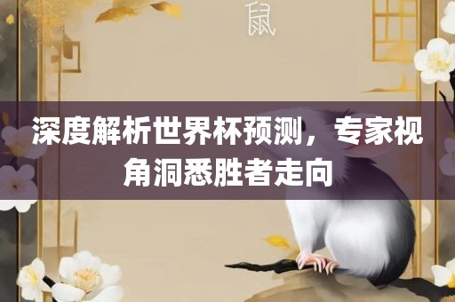 深度解析世界杯预测，专家视角洞悉胜者走向