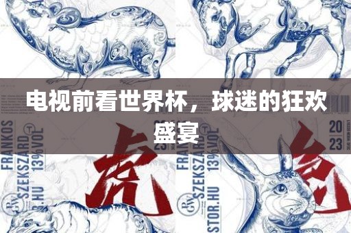 电视前看世界杯，球迷的狂欢盛宴