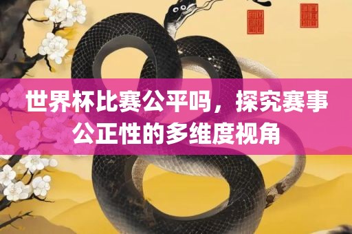 世界杯比赛公平吗，探究赛事公正性的多维度视角