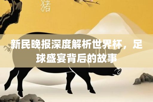 新民晚报深度解析世界杯，足球盛宴背后的故事