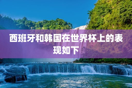 西班牙和韩国在世界杯上的表现如下