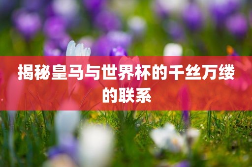 揭秘皇马与世界杯的千丝万缕的联系