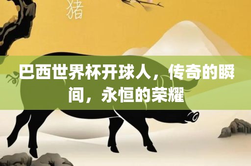 巴西世界杯开球人，传奇的瞬间，永恒的荣耀