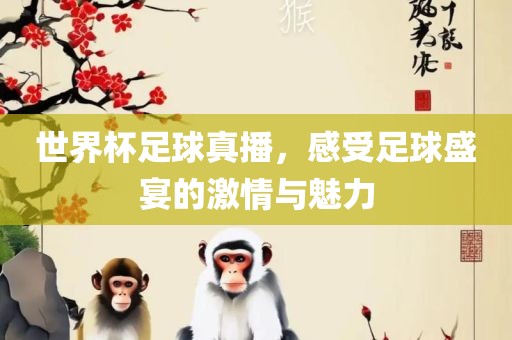 世界杯足球真播，感受足球盛宴的激情与魅力