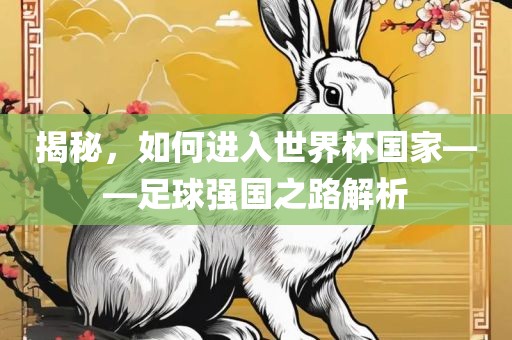揭秘，如何进入世界杯国家——足球强国之路解析