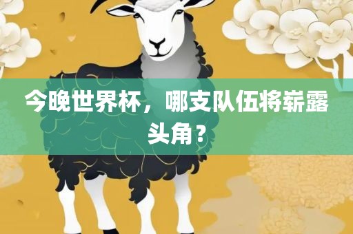 今晚世界杯，哪支队伍将崭露头角？