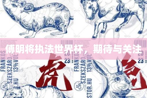 傅明将执法世界杯，期待与关注
