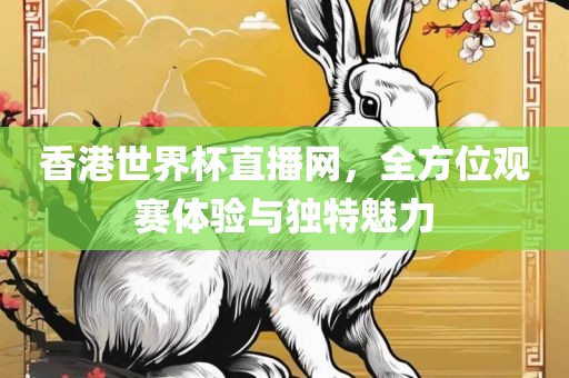 香港世界杯直播网，全方位观赛体验与独特魅力