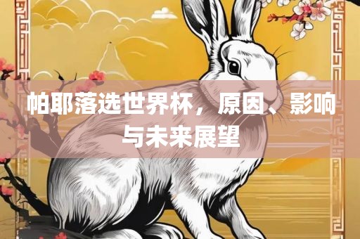 帕耶落选世界杯，原因、影响与未来展望
