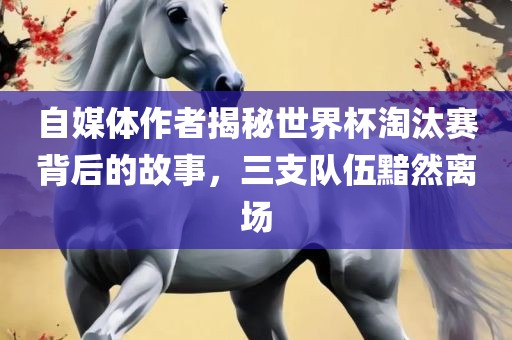 自媒体作者揭秘世界杯淘汰赛背后的故事，三支队伍黯然离场