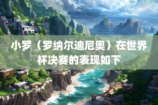 小罗（罗纳尔迪尼奥）在世界杯决赛的表现如下