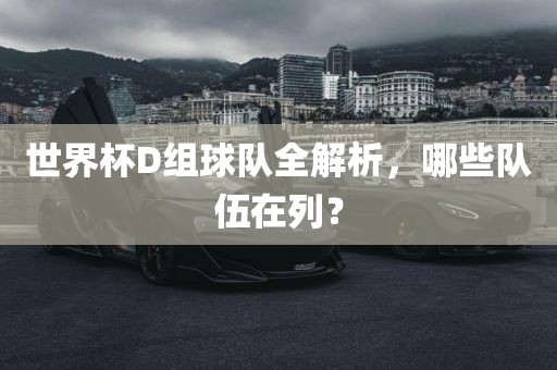 世界杯D组球队全解析，哪些队伍在列？