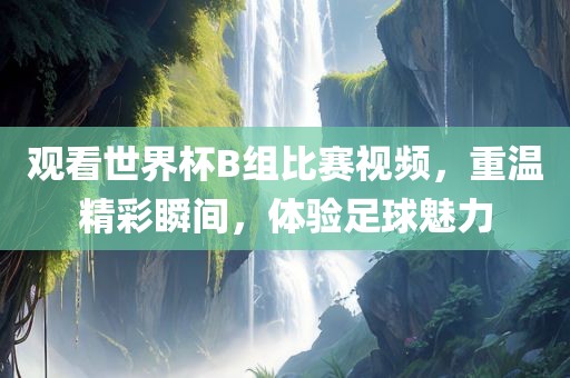 观看世界杯B组比赛视频，重温精彩瞬间，体验足球魅力