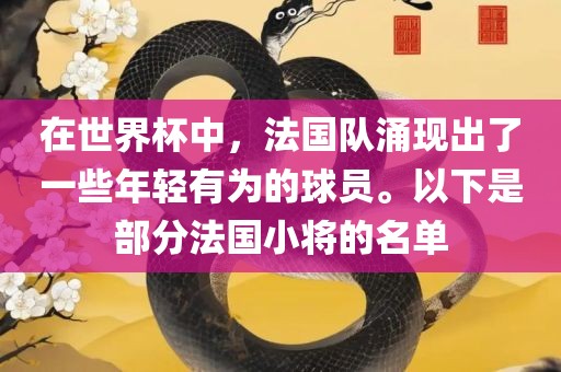 在世界杯中，法国队涌现出了一些年轻有为的球员。以下是部分法国小将的名单