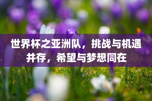 世界杯之亚洲队，挑战与机遇并存，希望与梦想同在
