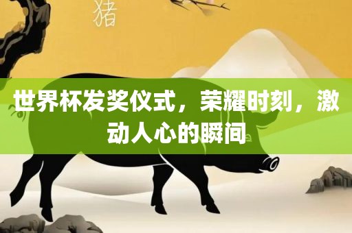 世界杯发奖仪式，荣耀时刻，激动人心的瞬间
