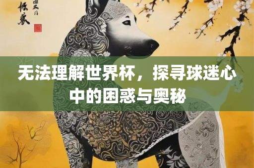 无法理解世界杯，探寻球迷心中的困惑与奥秘