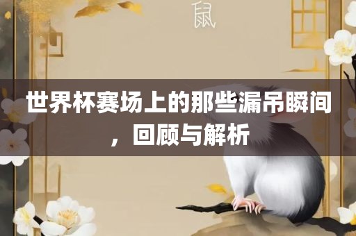 世界杯赛场上的那些漏吊瞬间，回顾与解析