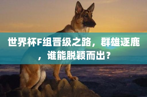 世界杯F组晋级之路，群雄逐鹿，谁能脱颖而出？