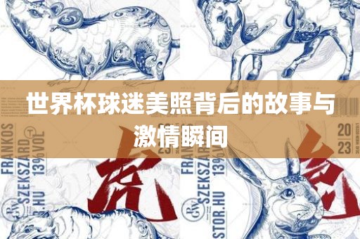 世界杯球迷美照背后的故事与激情瞬间